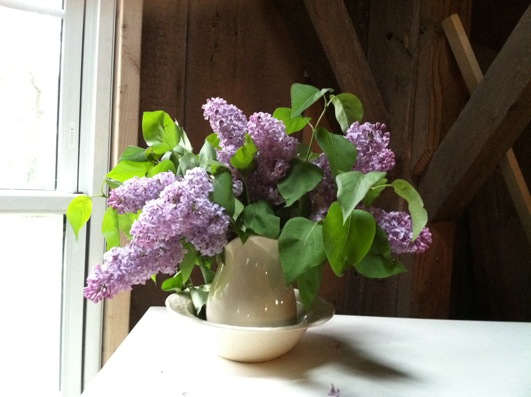 lilacs.setup